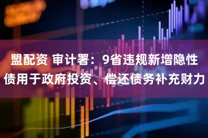 盟配资 审计署:9省违规新增隐性债用于政府投资、偿还债务补充财力