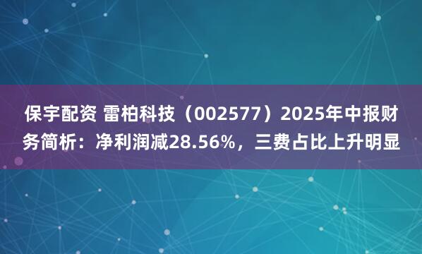 保宇配资 雷柏科技(002577)2025年中报财务简析:净利润减28.56%,三费占比上升明显