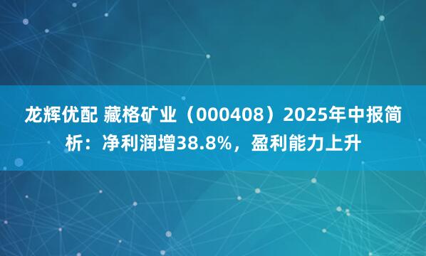 龙辉优配 藏格矿业(000408)2025年中报简析:净利润增38.8%,盈利能力上升