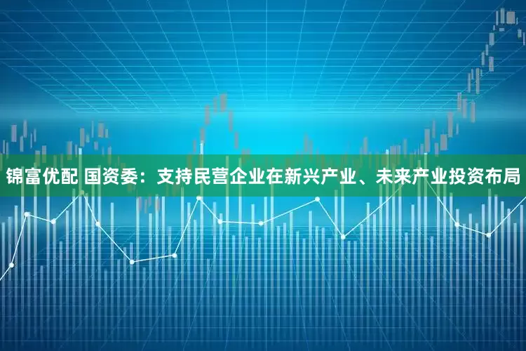 锦富优配 国资委：支持民营企业在新兴产业、未来产业投资布局