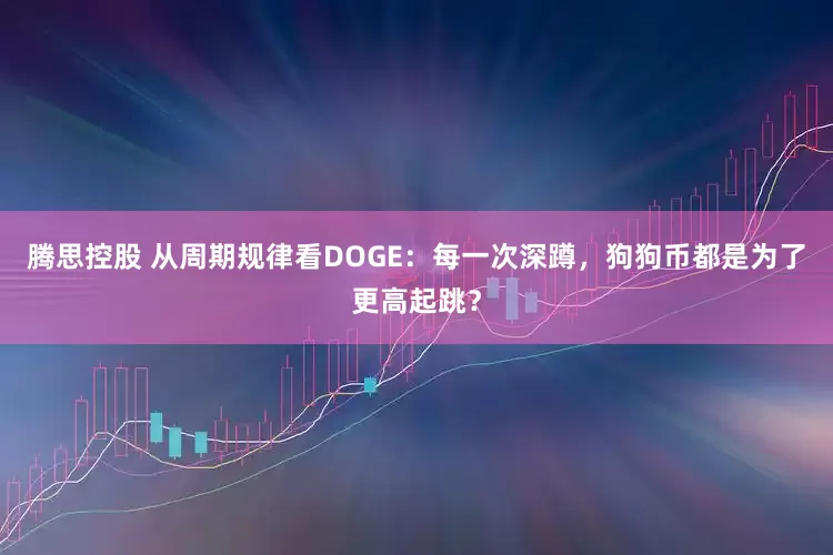 腾思控股 从周期规律看DOGE：每一次深蹲，狗狗币都是为了更高起跳？