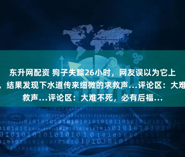 东升网配资 狗子失踪26小时，网友误以为它上了餐桌快要崩溃了，结果发现下水道传来细微的求救声…评论区：大难不死，必有后福…